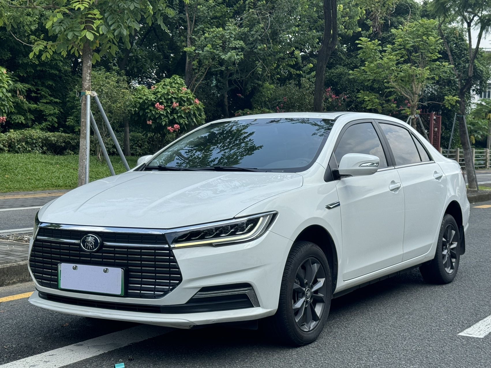 比亚迪 秦Pro新能源 2019款 EV 出行版