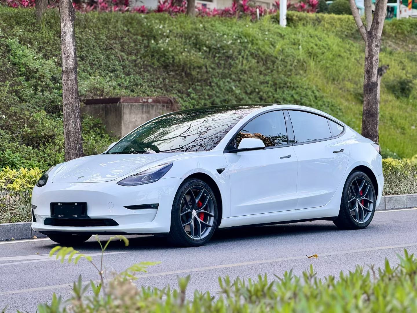 特斯拉 Model 3 2021款 改款 Performance高性能全轮驱动版 3D1