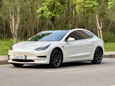 特斯拉 Model 3 2020款 改款 标准续航后驱升级版